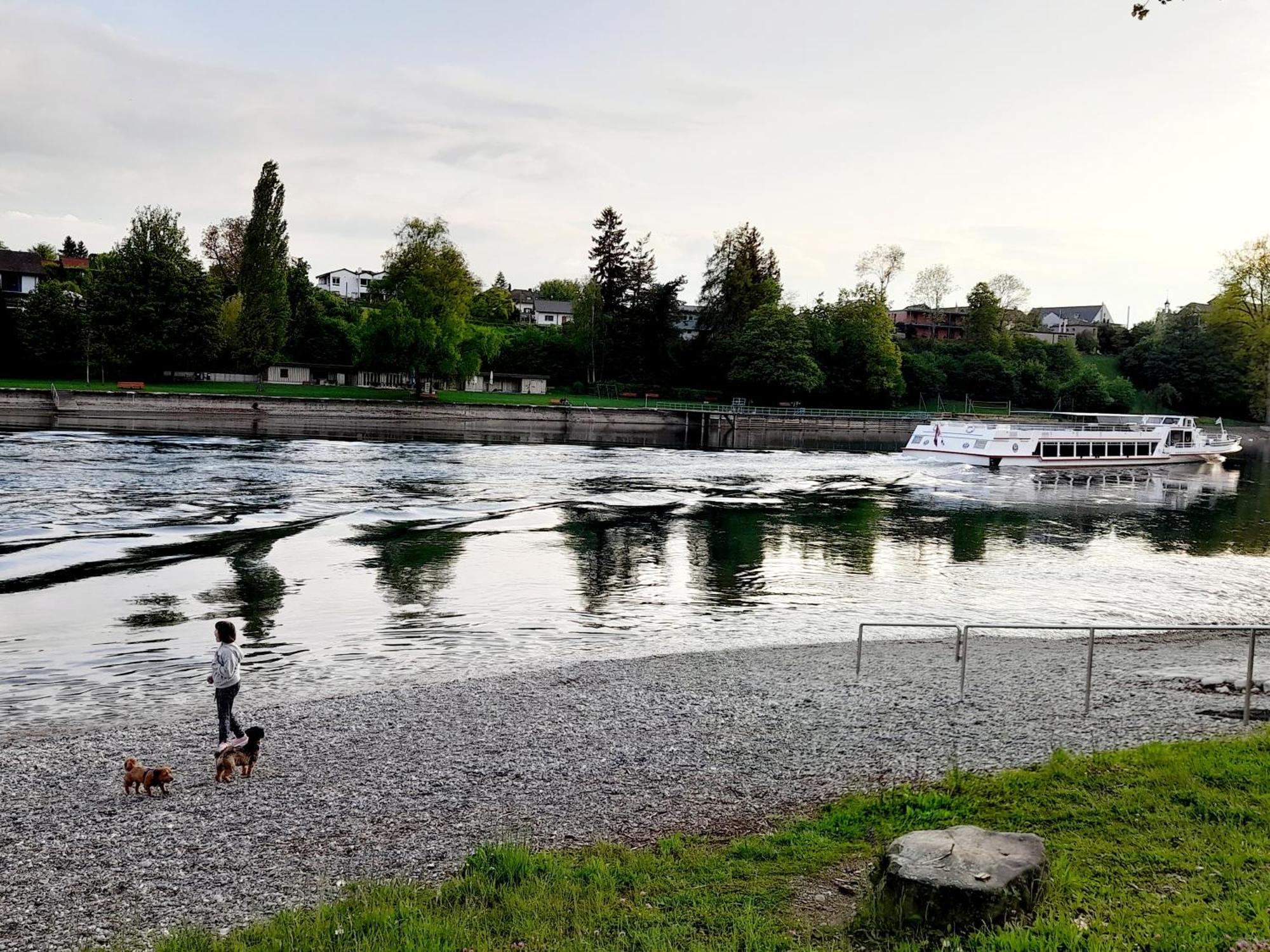 Ferienwohnung Am Kurpark, Gailingen Dış mekan fotoğraf